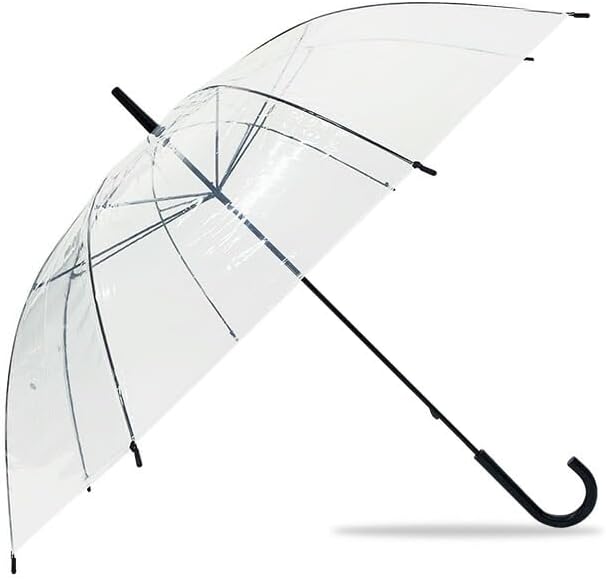 FENDI 美品 ビニール傘定価7万 オリジナル傘カバー付き 傘（FENDI）の